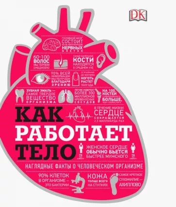 Смит, Темпл: Как работает тело